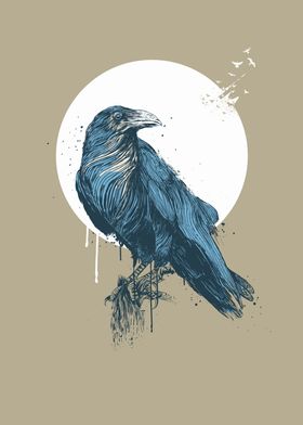 Blue Crow III