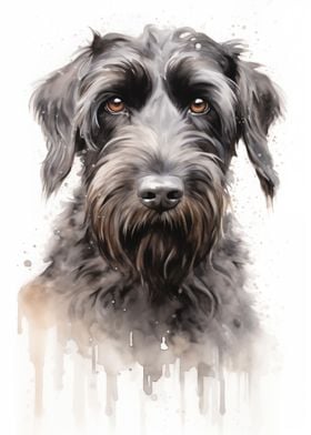 Black russian terrier dog