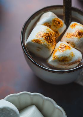 Toasted Marshmallows