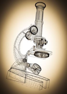 Microscope body structure