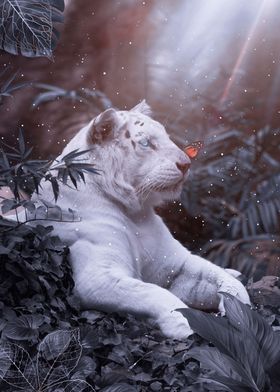 White Tiger in Grey Jungle