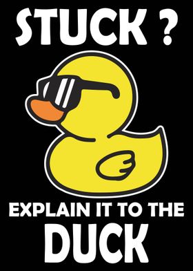 funny duck programmer