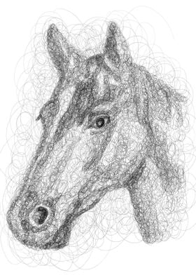 Scribble art Horse torso 