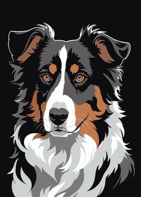 Australian Shepherd