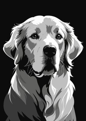 Golden Retriever Mono 2