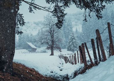 Snowfall in Switzerland