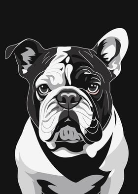 Bulldog Mono