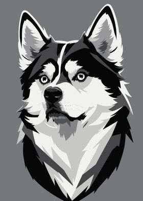 Siberian Husky Monochrome