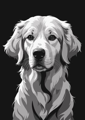 Golden Retriever Mono