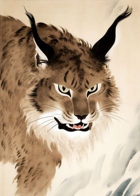 Eyes of the Lynx