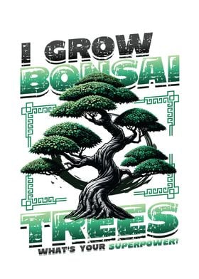 Growing Bonsai Trees