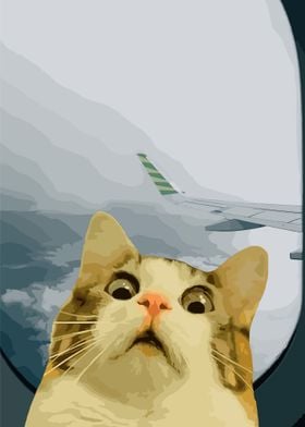 Cat on a Plane