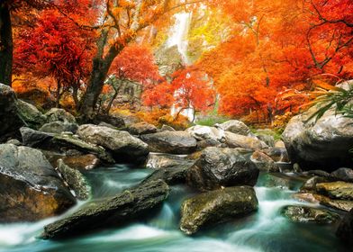 colorful autumn forest 
