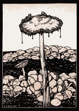 Dripping Mushrooms