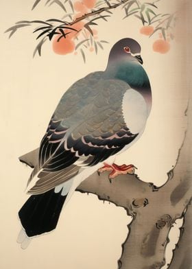 Pigeon on branch