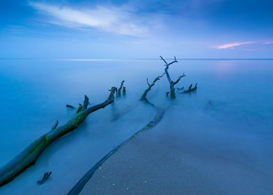 Blue Baltic Sea