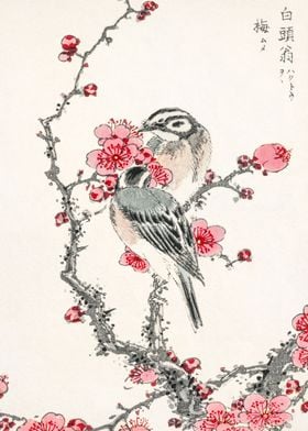 Pine Bunting and Plum Tree