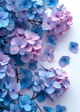 Hydrangea Flowers Poster