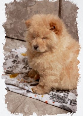 Chow Chow Dog Watercolor