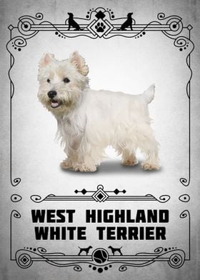 Highland White Terrier