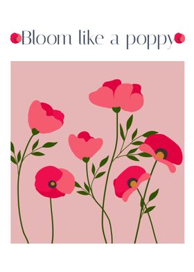 Bloom like a poppy 