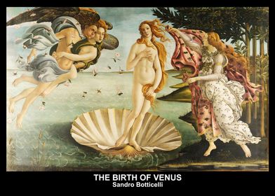 THE BIRTH OF VENUS 