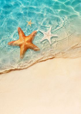 Starfish and Beach Wave