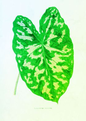 Vintage Leaf Ornament