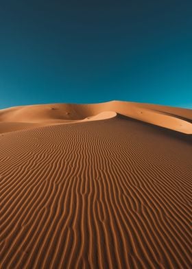 Camel Caravan in Desert