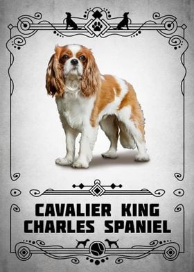 Cavalier King Charles Span