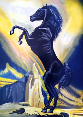 Black Horse Standing