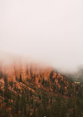 Misty Canyon Serenity