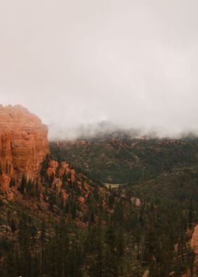 Enchanted Foggy Cliffs