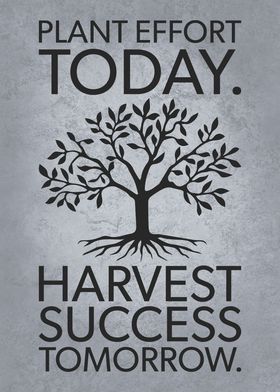Harvest Succes