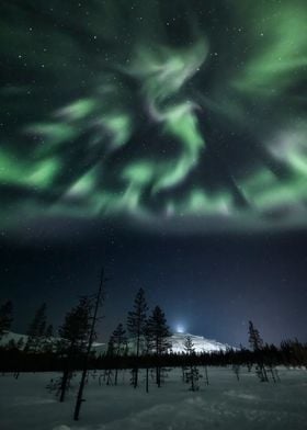 Aurora Dragon in Lapland