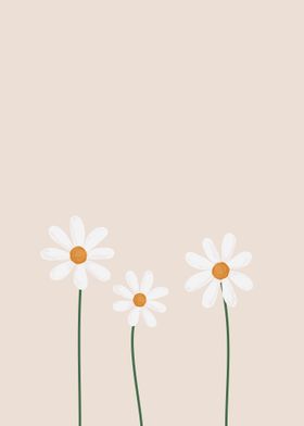 three daisies 