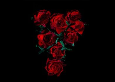 Red Roses AMOLED 8K Rose f