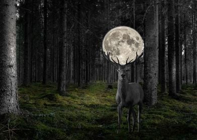 Deer Moon Surreal Forest M