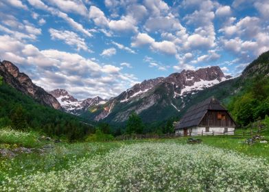 Meadows in the Mountains