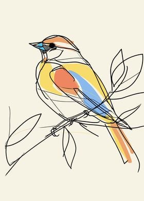 Bird Color Line Drawing