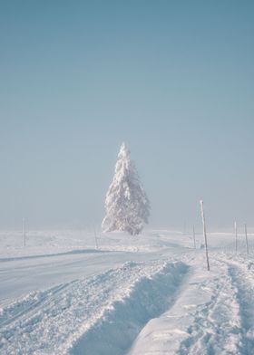 Foggy Winter Switzerland