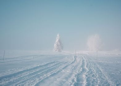 Foggy Winter Switzerland