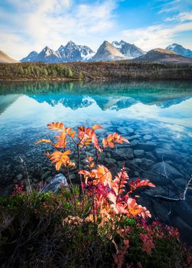 Aspevatnet Autumn Colors