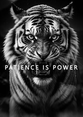 tiger motivational success