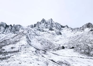 Snowy Peaks in Mefjord