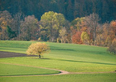 Green Countryside