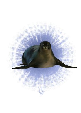 Caribbean Monk Seal