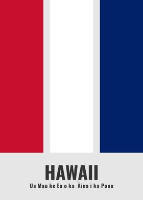 Hawaiian flag colors