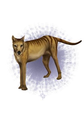 Thylacine