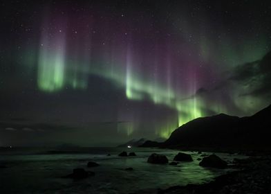 Russelv Auroras